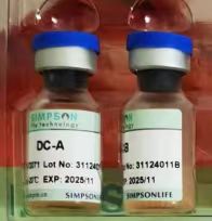 DC 细胞试剂盒